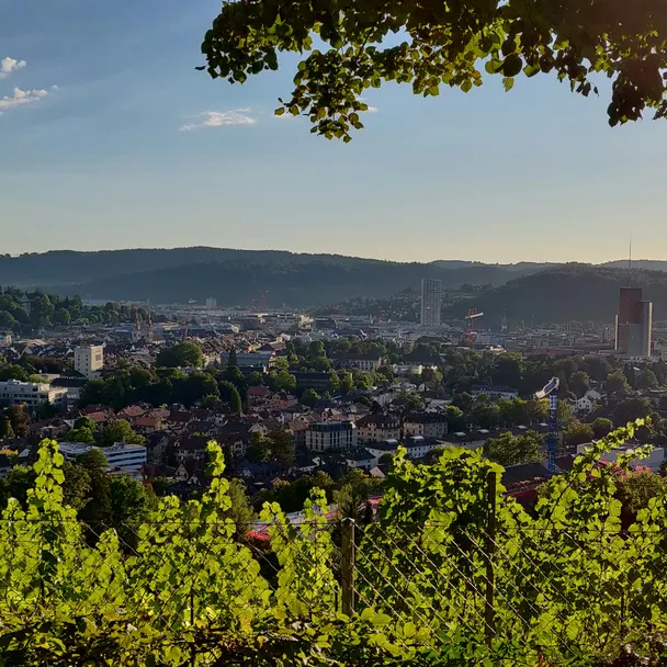 Winterthur Winterthur: Reinigung im Haushalt durch die Hausfeen ist in Winterthur buchbar.